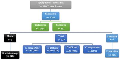 Increased prevalence of fungemia in Medina, Saudi Arabia